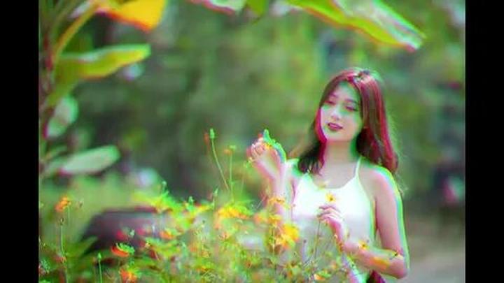 Bonobo: Nguồn Gốc Tiến Hóa Của Ngôn Ngữ Con Người?