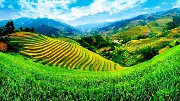 Hotspot Matrix và sự hòa hợp giữa gia đình nhà bầu Hiển