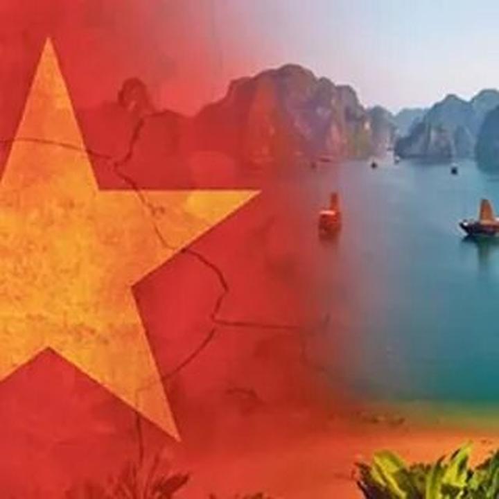 Bonobo: Nguồn Gốc Tiến Hóa Của Ngôn Ngữ Con Người?